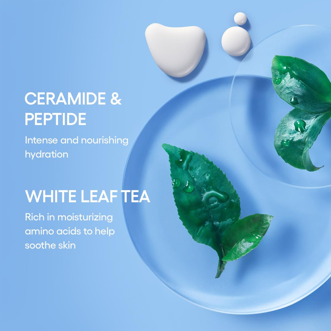 Water Bank Blue Hyaluronic Cream Moisturizer: Hydrating Korean Face Cream with Squalane & Ceramide for Skin Barrier Support, Dermatologist-Tested